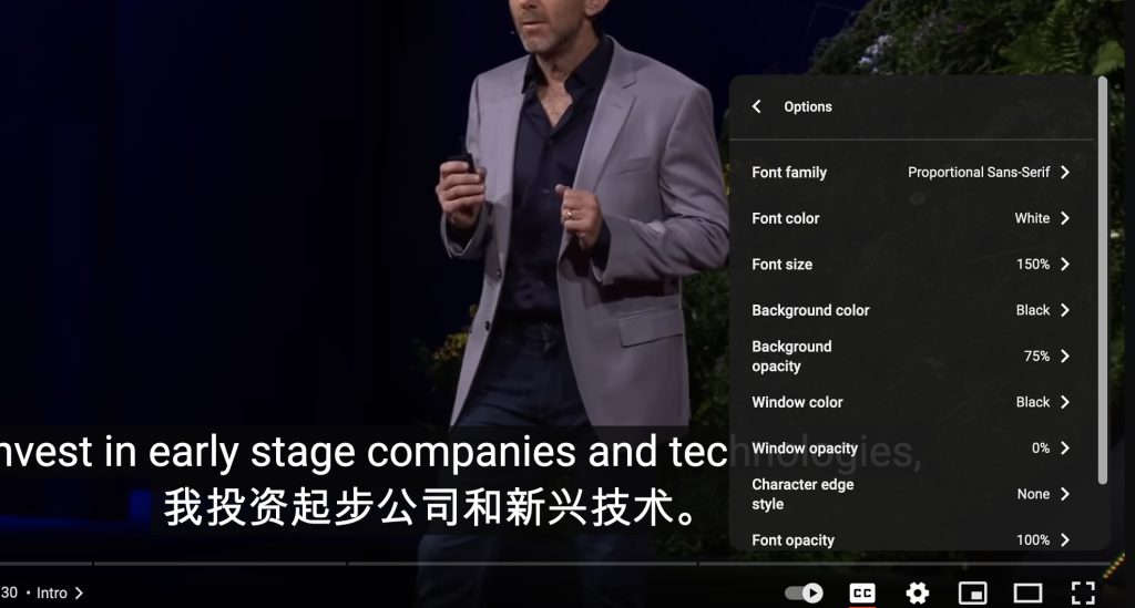 Youtube 字幕设置样式